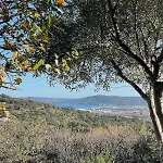 Ferienhaus Terrasse Tropez Tiny House With Pool & Sea View *